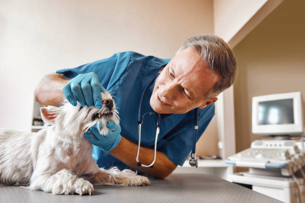Best Walk-In Emergency Dentist in Baird, TX